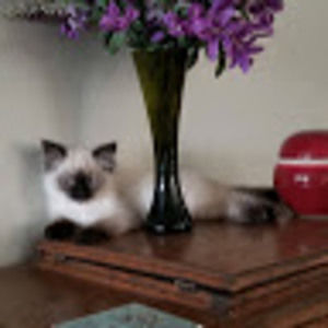 Meet your Posher, Beth